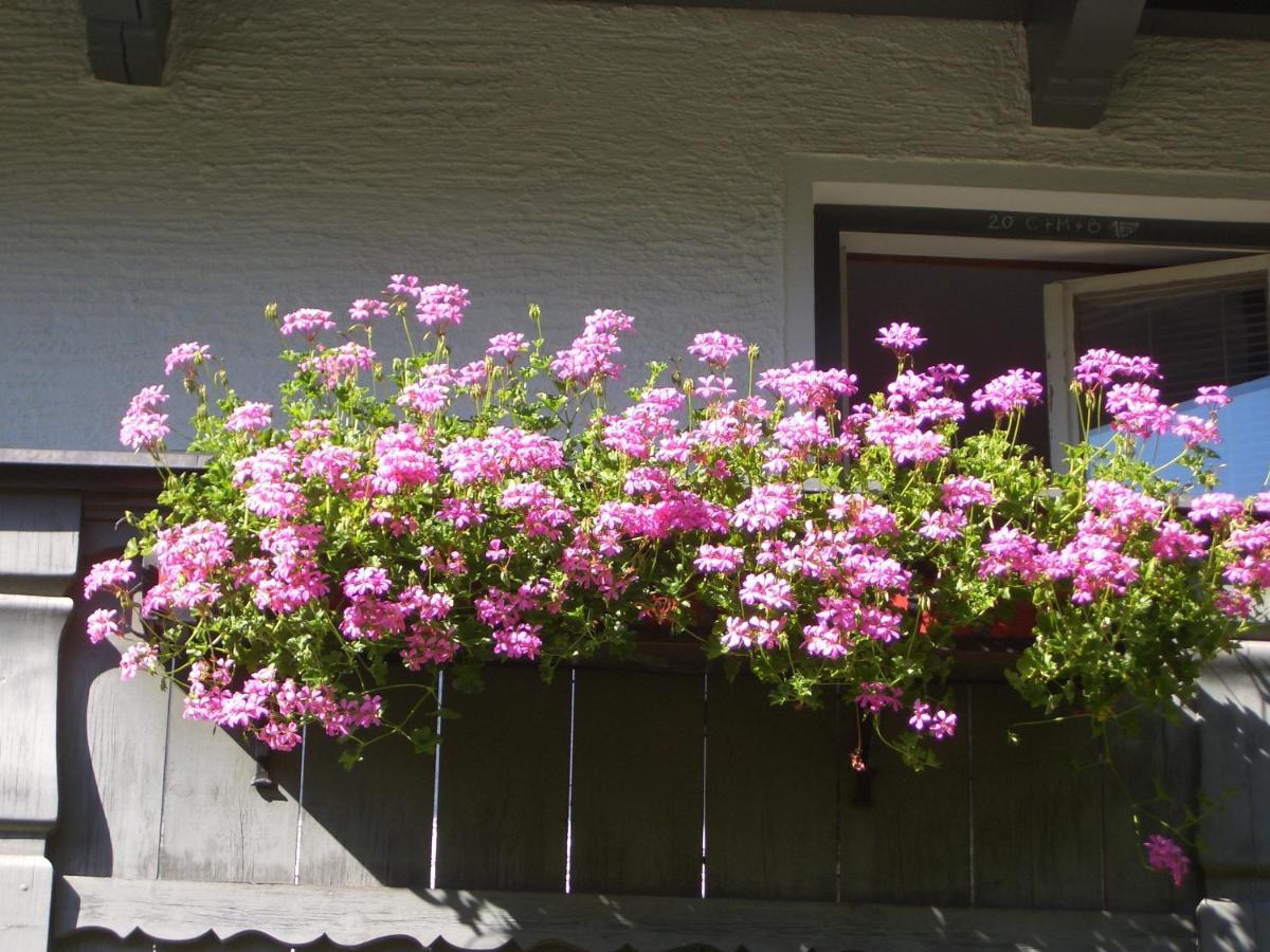 Meckyheim Apartment Mayrhofen Exterior photo