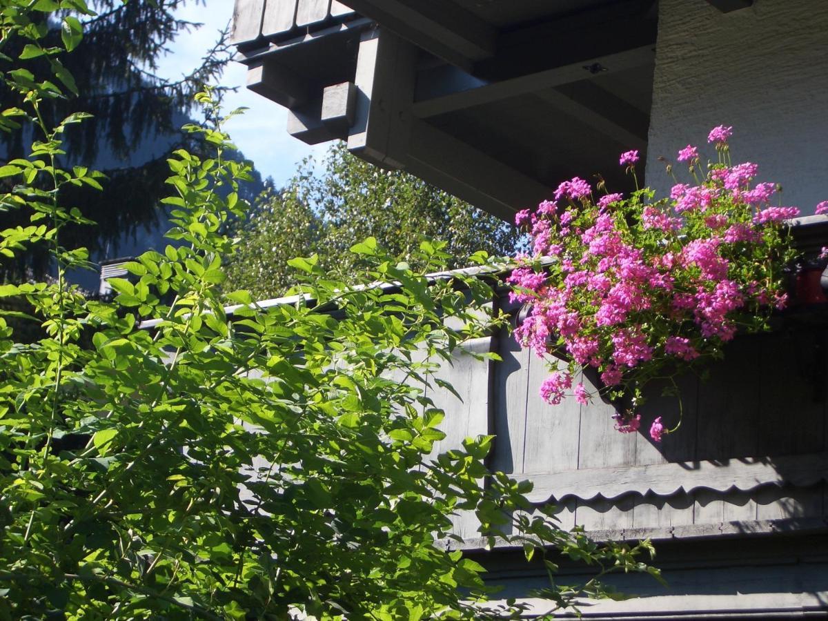 Meckyheim Apartment Mayrhofen Exterior photo